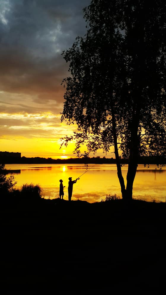 silhouette-people-standing-by-tree-against-orange-sky